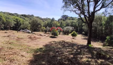 Fazenda à venda na Sem Nome, Rio do Cacho, Contenda, 37940 m2 por R$ 490.000