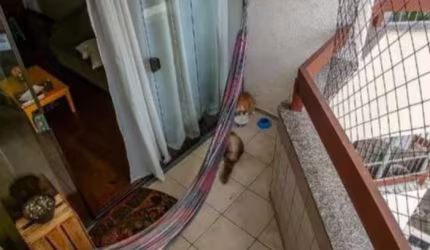Apartamento com 3 quartos à venda na Rua do Albatroz, Imbuí, Salvador, 80 m2 por R$ 395.000