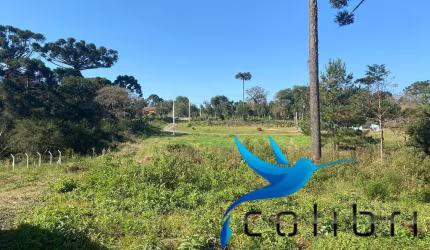 Chácara Urbana em Trigolândia - Piên