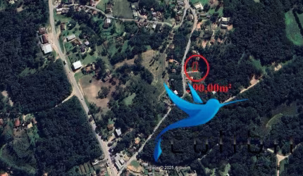 Lote urbano a 30 metros do asfalto em Leão - Agudos do Sul