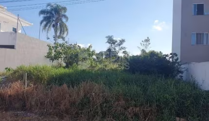 Terreno a venda Santa Regina I Camboriú