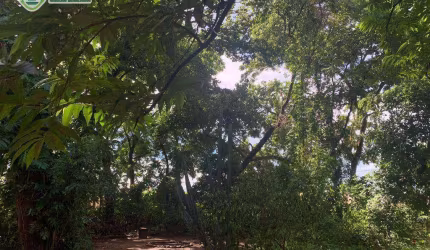 TERRENO - VENDA - Parque do Lago - Várzea Grande/MT