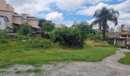Terreno à venda, 2200 m² por R$ 3.500.000,00 - Vila Zulmira - São Paulo/SP