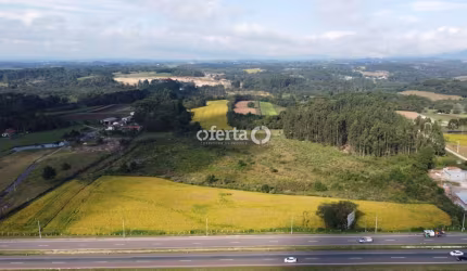 Terreno à venda no Campo Largo da Roseira, São José dos Pinhais  por R$ 17.500.000