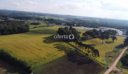 Terreno à venda no Campo Largo da Roseira, São José dos Pinhais  por R$ 11.000.000