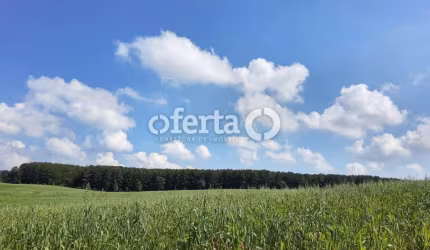 Fazenda à venda no Centro, Lapa , 1000 m2 por R$ 7.500.000