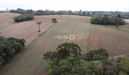 Terreno à venda no Campo do Meio, Campo Largo  por R$ 1.800.000