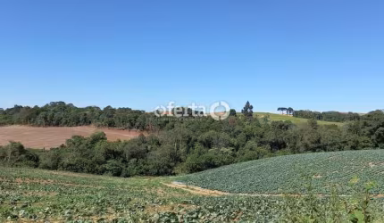 Terreno à venda no Serrinha, Contenda  por R$ 1.200.000