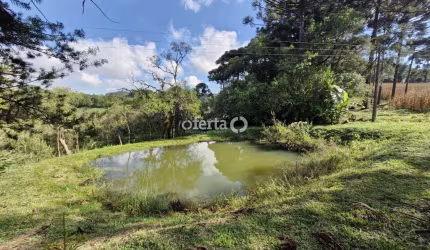 Chácara / sítio com 3 quartos à venda no Lagoa Suja, Araucária , 200 m2 por R$ 650.000