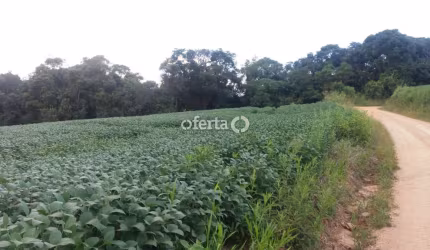 Chácara / sítio com 3 quartos à venda no Mariental, Lapa , 100 m2 por R$ 1.070.000