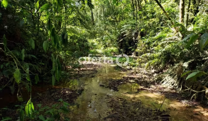 Chácara / sítio à venda no Lagoa Suja, Araucária  por R$ 650.000