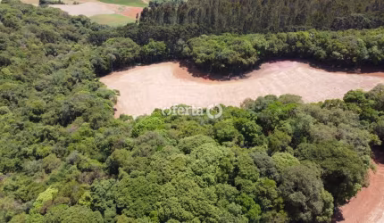 Chácara / sítio à venda no Rio Verde de Cima, Araucária  por R$ 600.000