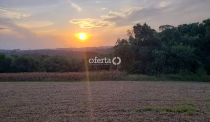 Chácara / sítio à venda em Taquarova, Araucária  por R$ 450.000