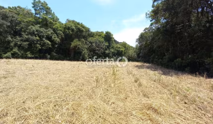 Chácara / sítio à venda no Rio Verde de Cima, Araucária  por R$ 550.000