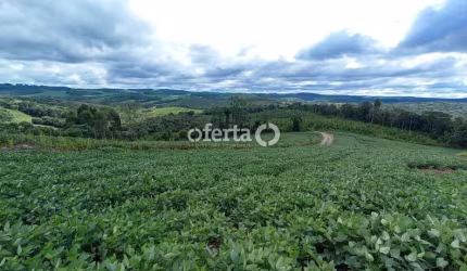 Terreno à venda no Mato Preto, Lapa  por R$ 335.000