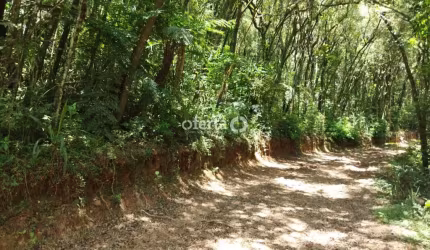 Chácara / sítio à venda no Rio Verde de Cima, Araucária  por R$ 550.000