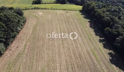 Chácara / sítio à venda em Campina das Pedras, Araucária  por R$ 550.000