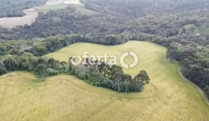 Fazenda à venda no Centro, Lapa  por R$ 3.300.000