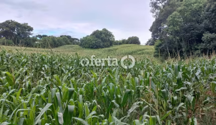 Chácara / sítio à venda na Zona Rural, Araucária  por R$ 595.000