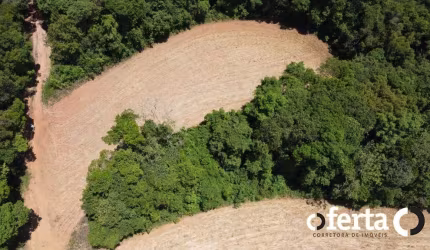Chácara / sítio à venda no Rio Verde de Cima, Araucária  por R$ 500.000