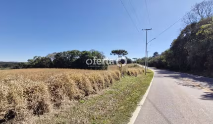 Chácara / sítio à venda no Centro, Araucária  por R$ 1.850.000