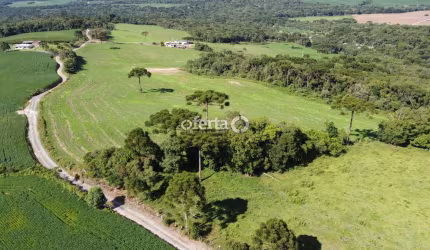 Fazenda à venda no Faxinal dos Castilhos, Lapa , 250 m2 por R$ 6.000.000