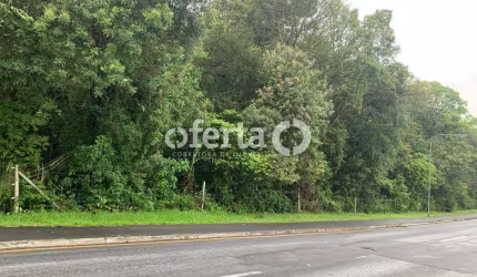 Terreno à venda no Centro, Araucária , 8800 m2 por R$ 4.500.000