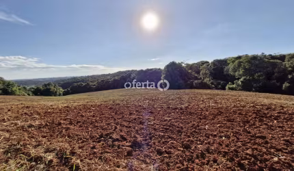 Chácara / sítio à venda em Colônia Cristina, Araucária  por R$ 600.000