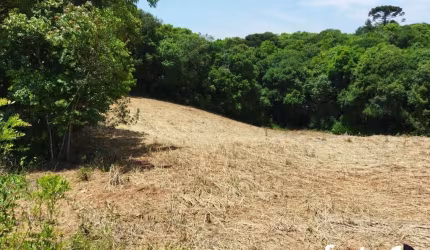 Chácara / sítio à venda no Rio Verde de Cima, Araucária  por R$ 500.000