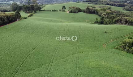 Fazenda à venda no Bugre, Balsa Nova , 100 m2 por R$ 13.000.000