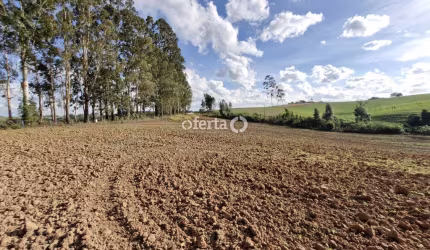 Chácara / sítio à venda na Zona Rural, Contenda , 21917 m2 por R$ 399.000