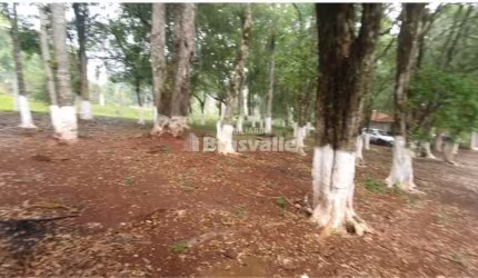 Terreno comercial à venda no Cascavel Velho, Cascavel  por R$ 650.000