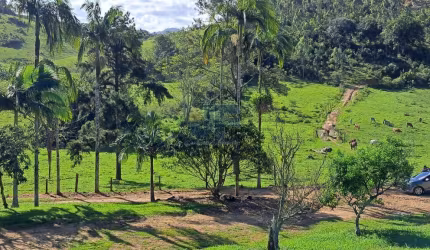 Área de terras para Venda no bairro Paciência em Itajaí, 160000 m² de área total, 160000 m² privativos,