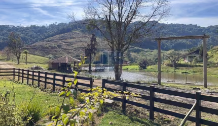 Fazenda para Venda no bairro ALTA PALMEIRA em RIO DOS CEDROS, 4747802 m² de área total,