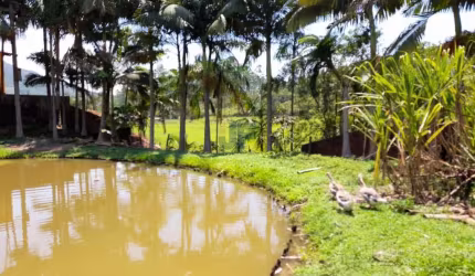 Sítio / Chácara para Venda no bairro Oliveira em Tijucas, 2 quartos, 2 vagas, 3500 m² de área total, 3500 m² privativos,