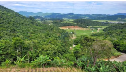Sítio / Chácara para Venda no bairro Cedros em Camboriú, 3 quartos sendo 1 suíte, 4 vagas, Mobiliado, 7000 m² de área total, 7000 m² privativos,