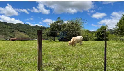 Fazenda para Venda no bairro CENTRO em Tijucas, 2000000 m² de área total, 2000000 m² privativos,