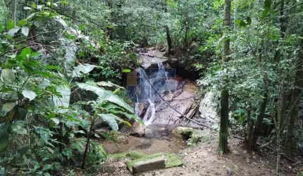 Sítio / Chácara para Venda no bairro Macacos em Camboriú, 2 quartos, 5 vagas, 16794 m² de área total, 16794 m² privativos,