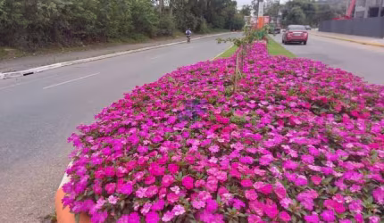Terreno para Venda no bairro Centro em Camboriú, 18000 m² de área total, 18000 m² privativos,