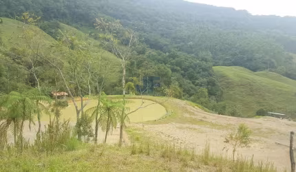 Área de terras para Venda no bairro AGUTI em Nova Trento, 3 quartos, 6 vagas, Sem Mobília, 786000 m² de área total, 786000 m² privativos,
