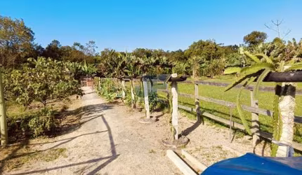 Sítio / Chácara para Venda no bairro MOURA em canelinha, 2 quartos, 2 vagas, Mobiliado, 2957 m² de área total, 2957 m² privativos,