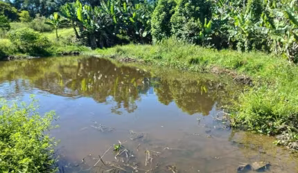 Sítio / Chácara para Venda no bairro RURAL em Luiz Alves, Sem Mobília, 42000 m² de área total, 42000 m² privativos,
