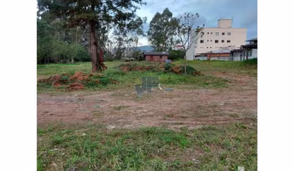 Terreno para Venda no bairro Centro em Camboriú, 11800 m² de área total, 7900 m² privativos,