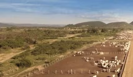 Fazenda com 60.000 hectares à venda no Muqúen do São Francisco - BA
