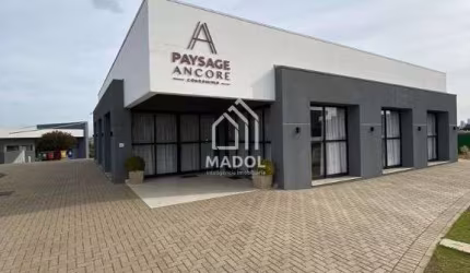 Terreno à venda, 220 m² por R$ 215.000,00 - Cará-cará - Ponta Grossa/PR