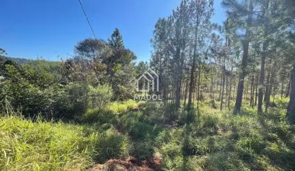 Terreno à venda, 360 m² por R$ 50.000 - Chapada - Ponta Grossa/PR