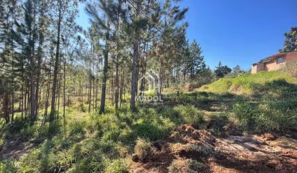 Terreno à venda, 720 m² por R$ 90.000 - Chapada - Ponta Grossa/PR