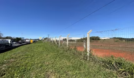 Terreno comercial à venda na Nossa Senhora da Conceição, Balneário Piçarras , 217000 m2 por R$ 56.000.000