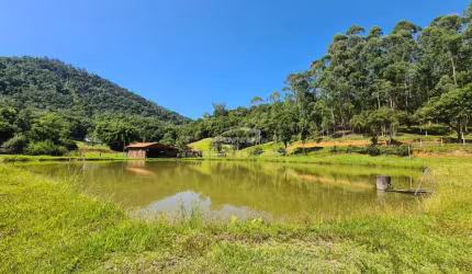 Chácara / sítio com 4 quartos à venda no Mulde Central, Timbó , 70836 m2 por R$ 2.000.000