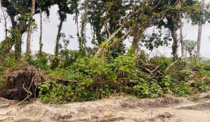 Terreno para Venda - Praia Grande, Matinhos - 420m²